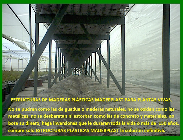 banco de enraizamiento madera plástica maderplast enraizar plantas mostrador mesón lecho soporte propagar maderas plásticas maderplast sembrar semillas esquejes brotes de plantas tallos socos 2 banco de enraizamiento madera plástica maderplast enraizar plantas mostrador mesón lecho soporte propagar maderas plásticas maderplast sembrar semillas esquejes brotes de plantas tallos socos 2 04 banco de enraizamiento madera plástica maderplast enraizar plantas mostrador mesón lecho soporte propagar maderas plásticas maderplast sembrar semillas esquejes brotes de plantas tallos socos 2